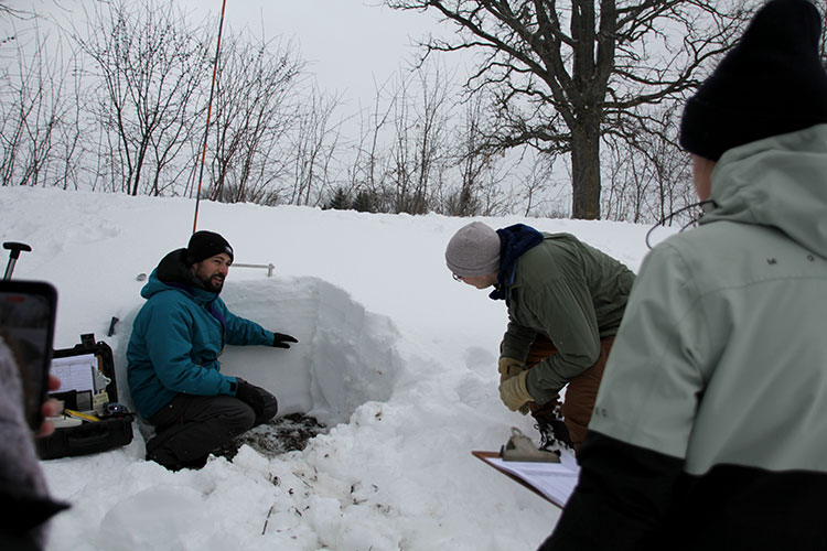 inspecting a cross section of snow